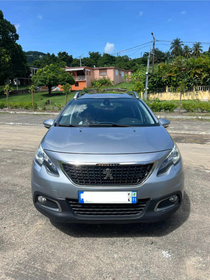 Peugeot 2008 (Photo 2)