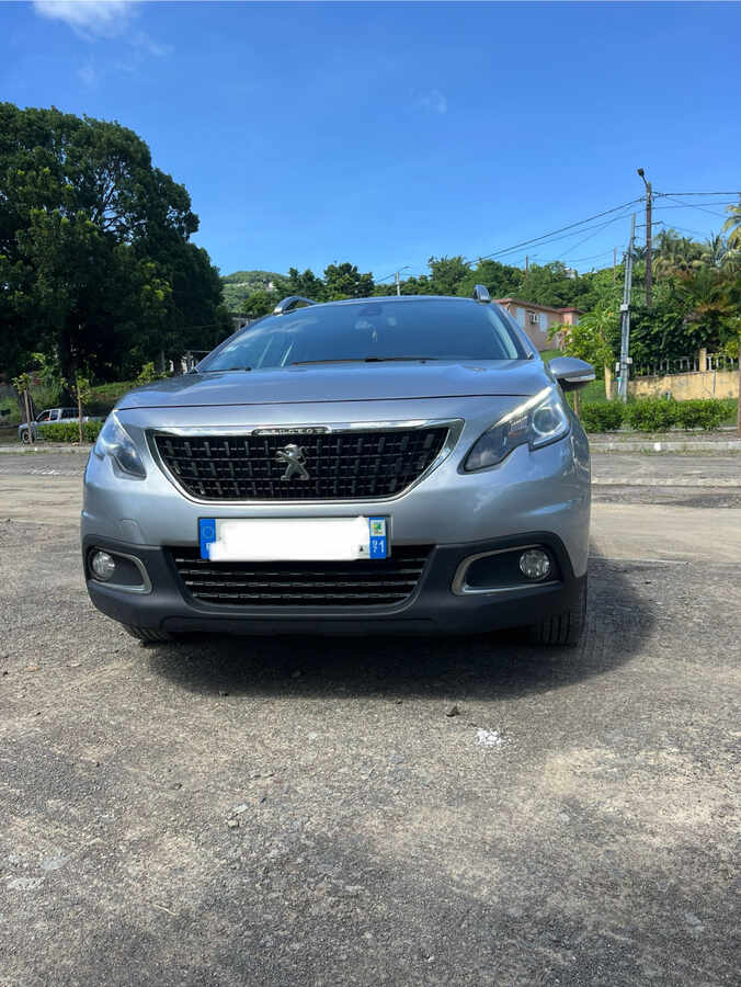Peugeot 2008 (Photo 1)