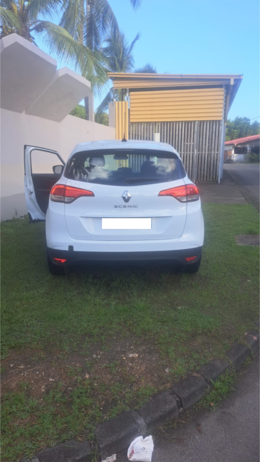 Renault Mégane Scénic SUV DCI (2017) (Photo 3)